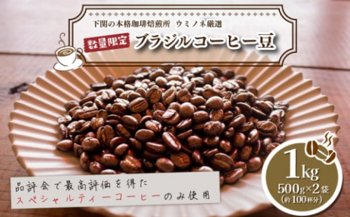 【豆】 訳あり コーヒー豆 1kg ( 500g × 2袋 ) 数量限定 ブラジル 珈琲 自家焙煎 下関 山口 再入荷 2024年度入荷分 