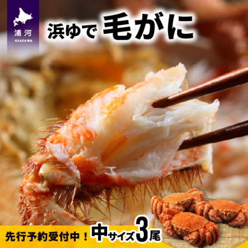 【先行受付開始！】漁協の浜ゆで毛がに 中サイズ３尾セット※日付指定対応不可※[02-174] 93157 - 北海道浦河町