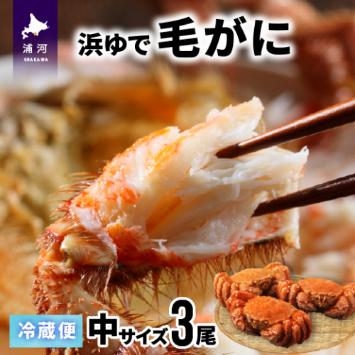【今が旬！】漁協の浜ゆで毛がに 中サイズ３尾セット※日付指定対応不可※[02-174] 93157 - 北海道浦河町