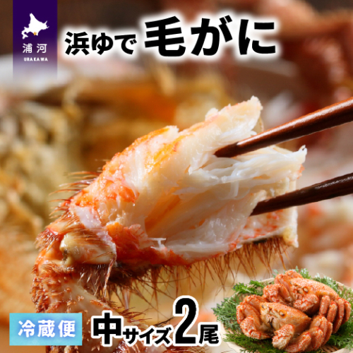 【今が旬！】漁協の浜ゆで毛がに 中サイズ２尾セット※日付指定対応不可※[02-173] 93158 - 北海道浦河町