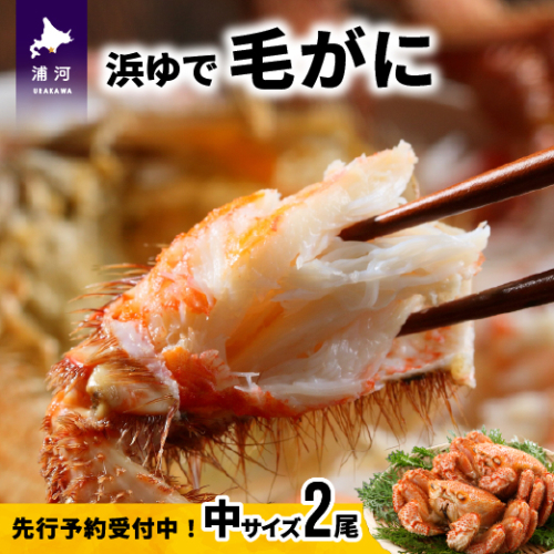 【先行受付開始！】漁協の浜ゆで毛がに 中サイズ２尾セット※日付指定対応不可※[02-173] 93158 - 北海道浦河町