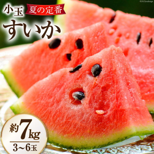 AH006 夏の定番 小玉すいか 約7kg（3～6玉） [ 果物 フルーツ すいか スイカ 古川青果店 長崎県 島原市 ] 931636 - 長崎県島原市