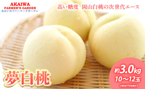 桃 2025年 先行予約 おかやま 夢 白桃 約3.0kg 10～12玉 もも 岡山県 赤磐市産 フルーツ 果物 あかいわファーマーズガーデン デザート 旬の果物 旬のフルーツ  931659 - 岡山県赤磐市