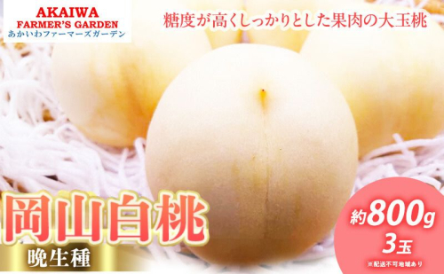 桃 2025年 先行予約 岡山の 白桃（晩生種）約800g 3玉 もも 岡山県 赤磐市産 フルーツ 果物 あかいわファーマーズガーデン デザート 旬の果物 旬のフルーツ  931660 - 岡山県赤磐市