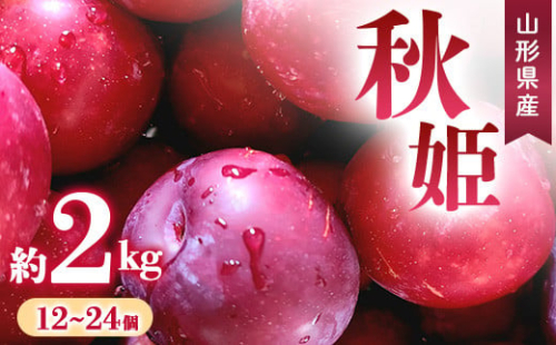 【先行予約 令和7年度発送】すもも 秋姫 約2kg（12～24玉）  フルーツ 果物 くだもの 果実 食品 山形県 FSY-0666