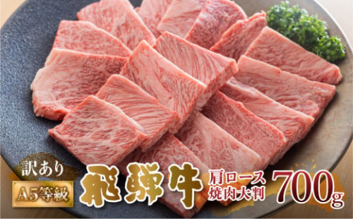 飛騨牛 A5等級 焼肉用 霜降り肉 700g 大判 訳あり 焼き肉 BBQ 肉 牛肉 お肉 和牛 冷凍 霜降り 匠家 25000円 [S427]