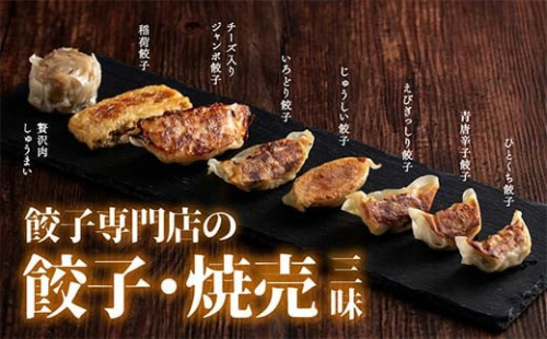 餃子専門店の餃子焼売三昧 冷凍 焼き餃子 餃子 詰合せ 焼売 水餃子 ぎょうざ ギョーザ お弁当 おかず 中華 F4H-0274