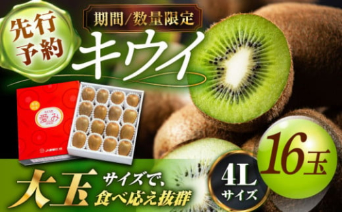 【先行予約】【2025年2月上旬から順次発送】 キウイフルーツ 赤秀4L大玉サイズ （16玉入り） キウイフルーツ 大玉 キウイ 4l フルーツ 果物 くだもの きうい キウィ 愛媛県大洲市/愛媛たいき農業協同組合[AGAO002]  お正月 クリスマス