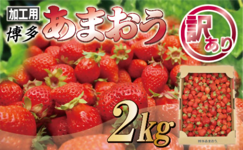 【訳あり】加工用「博多あまおう」2kg【JAほたるの里】_HA1334