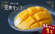 完熟マンゴー 5L×1玉 ｜ 果物 くだもの フルーツ マンゴー 5L 1玉 旬 夏 高糖度 熊本県 玉名市