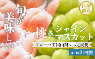 山梨の美味しいフルーツ全２回定期便  シャインマスカット・桃 154-100