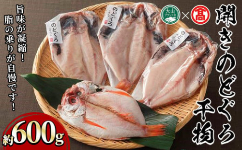 日本海西部産 開きのどぐろ干物A(約600g・4～5尾)【T-AN1】【大山ブランド会】