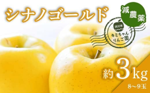 2023年秋発送 減農薬 りんご シナノゴールド 約3kg （8～9玉） 甘い リンゴ 果物 お取り寄せ 贈答品 ギフト F4H-0136
