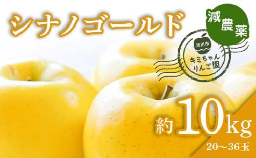 2023年秋発送 減農薬 りんご シナノゴールド 約10kg （20～36玉） 甘い リンゴ 果物 お取り寄せ 贈答品 ギフト F4H-0138