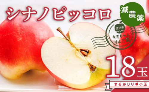 2023年秋発送 減農薬 まるかじり りんご シナノピッコロ18玉 小玉 甘い リンゴ 果物 希少 お取り寄せ 贈答品 ギフト F4H-0139