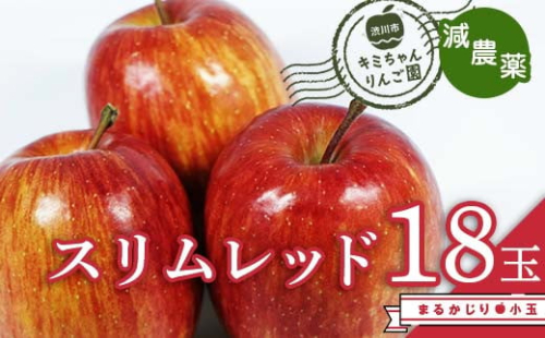 2023年秋発送 減農薬 まるかじり りんご スリムレッド 18玉 小玉甘い リンゴ 果物 希少 お取り寄せ 贈答品 ギフト F4H-0140