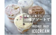 湘南茅ヶ崎の人気店 プレンティーズのアイスクリーム（バラエティセット５種10個）【のし有】