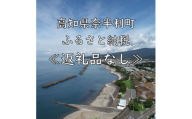 999999　高知県奈半利町への応援寄附金（返礼品なし）