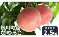 KM07-24A 桃 なつっこ 2.5kg ／8月上旬頃から発送予定 //長野県 南信州 松川町産 モモ もも  贈答 産地直送 新鮮