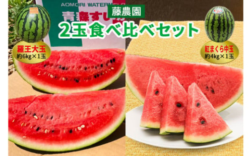 [羅王・紅まくら] スイカ 食べ比べ 2玉セット｜つがる市産 青森産 産直 2026年産 令和8年 夏 すいか 西瓜 果物 フルーツ 旬 特産 藤農園 農福連携 ラオウ らおう 羅皇 [0620]