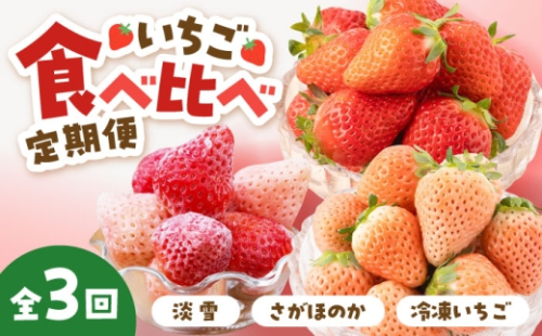 【先行予約 2027年3月～発送】【3回定期便】赤白 いちご 食べ比べ 定期便【岸川農園】 いちご 苺 イチゴ あわゆき 淡雪 さがほのか 冷凍いちご 冷凍苺 フルーツ 果物 佐賀県産 さがいちご 九州 佐賀県 白石町  [IAP030] 933686 - 佐賀県白石町