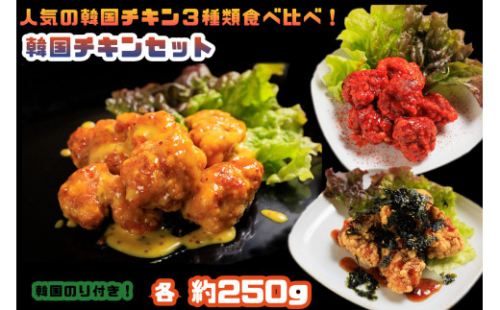 AS-008_人気の韓国チキン3種類食べ比べ！韓国チキンセット