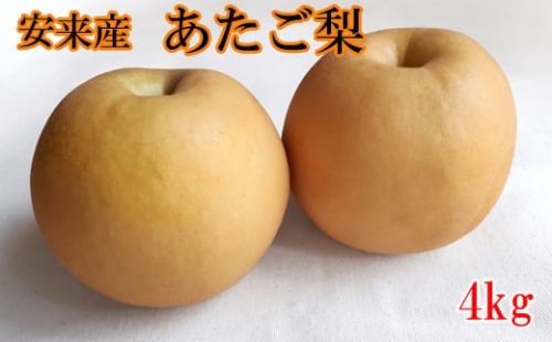 安来産　あたご梨　4ｋg【大玉 3玉～6玉 先行予約　令和5年　期間限定　島根県　】