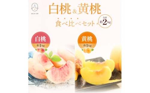 No.2673白桃＆黄桃食べ比べセット　約2kg【2025年発送】