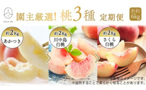 No.2674園主厳選！もも3種定期便　各約2kg【2025年発送　先行予約】