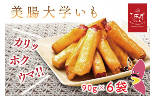 らぽっぽファーム　美腸大学いも　90g×6袋｜さつまいも 大学芋 芋 サツマイモ だいがくいも スイーツ お菓子 冷凍 美腸大学芋 人気 送料無料 茨城県 行方市 らぽっぽファーム(CQ-14)