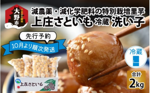 上庄さといも 洗い子 2kg（500g × 4袋）【冷蔵】減農薬・減化学肥料の特別栽培里芋 農家直送 煮物に便利な小さめサイズ【2024年10月中旬より順次発送】