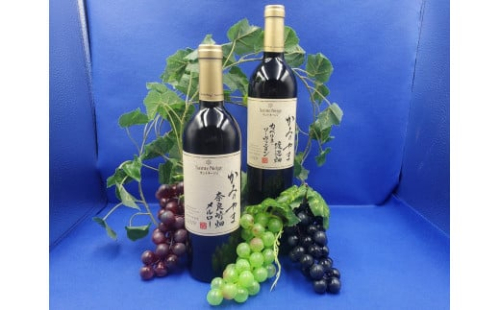 サントネージュかみのやまワインのみ比べ　２本セット　0141-2411