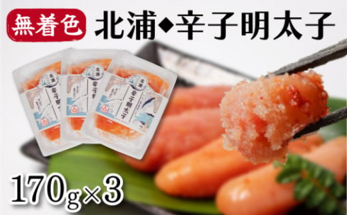 北浦の鯵と地酒を使用した辛子明太子 170g×3 一本物 無着色 小分け 辛子明太子 下関 山口