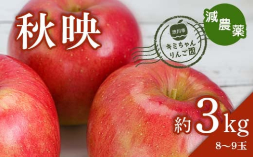 2023年秋発送 減農薬 りんご 秋映 約3kg （8～9玉） 甘い リンゴ 果物 お取り寄せ 贈答品 ギフト F4H-0153