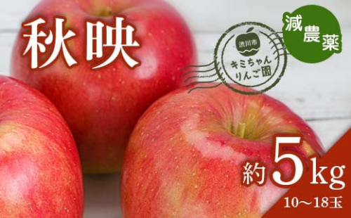 2023年秋発送 減農薬 りんご 秋映 約5kg （10～18玉） 甘い リンゴ 果物 お取り寄せ 贈答品 ギフト F4H-0154