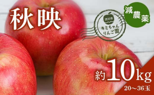 2023年秋発送 減農薬 りんご 秋映 約10kg （20～36玉） 甘い リンゴ 果物 お取り寄せ 贈答品 ギフト F4H-0155