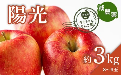 2023年秋発送 減農薬 りんご 陽光 約3kg （8～9玉） 甘い リンゴ 果物 お取り寄せ 贈答品 ギフト F4H-0156