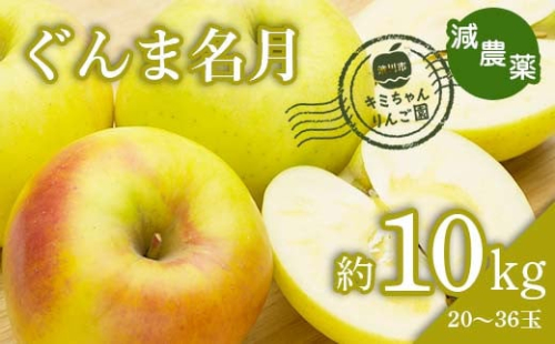 2023年秋発送 減農薬 りんご ぐんま名月 約10kg （20～36玉） 甘い リンゴ 果物 希少 お取り寄せ 贈答品 ギフト F4H-0132