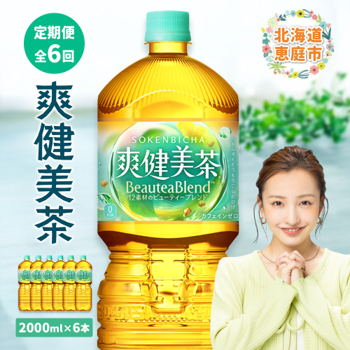 『定期便：全6回』爽健美茶2000mlPET×6本【38000901】 93521 - 北海道恵庭市