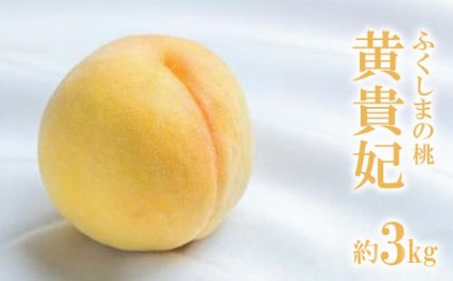 No.2688もも 黄貴妃　約3kg【2025年 先行予約】