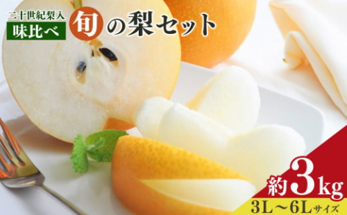 A19 【2024年先行予約】 南陽園の旬の梨 味くらべ（二十世紀梨セット） 約3kg 3L～6L 【秀品】 | ≪数量限定≫ 梨園直送！ 期間限定 果物 くだもの フルーツ 農家直送 梨 ナシ シャキシャキ もぎたて 旬 お取り寄せ 二十世紀梨 幸水梨 奈良県 大淀町 ※2024年9月上旬より順次発送