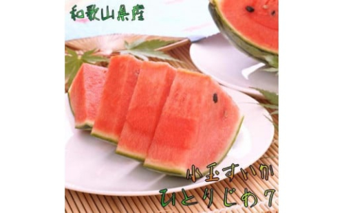 【厳選】小玉すいか『ひとりじめ７』Ｍサイズ/１玉入り【農家直送】【先行予約】【和歌山県産】