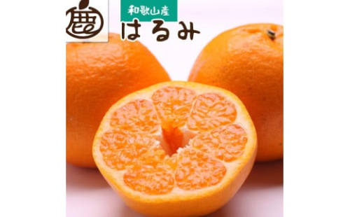 ＜2月より発送＞ 厳選 はるみ 5kg+150g（傷み補償分）デコポンの姉妹品種 新食感春みかん ［IKE45］