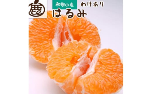 ＜2月より発送＞ 家庭用 はるみ 5kg+150g（傷み補償分）デコポンの姉妹品種 新食感春みかん 光センサー選別 訳あり わけあり ［IKE47］