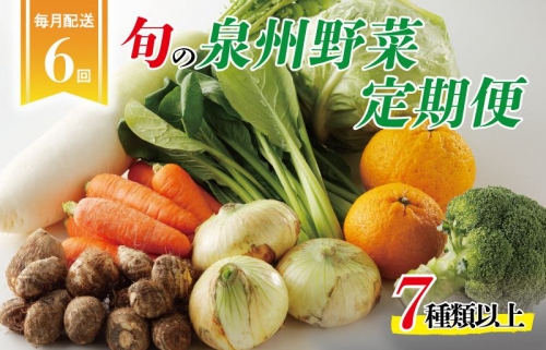 泉州野菜 定期便 全6回 7種類以上 詰め合わせ 国産 新鮮 冷蔵【毎月配送コース】