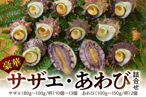 豪華サザエ・あわび詰合せ【本田商店】 海鮮 貝 ふるさと納税 サザエ ふるさと納税 あわび 鮑 詰め合わせ セット BBQ バーベキュー 【033_0134】 936318 - 島根県浜田市
