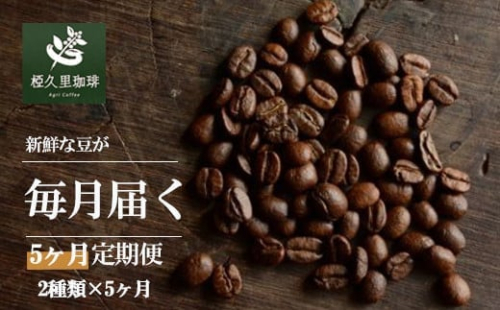No.2701 椏久里珈琲スペシャルティコーヒー5ヶ月定期便