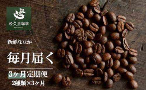 No.2702 椏久里珈琲スペシャルティコーヒー3ヶ月定期便