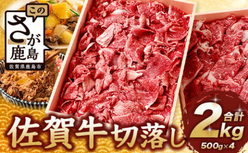 【60日以内に発送】佐賀牛 切り落とし 500g×4【合計2kg】牛肉 肉 佐賀牛 切り落し 切落し 切りおとし E-122
