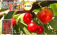 [2025年先行予約]贈答用 山形県 高畠町産 さくらんぼ 紅王 24粒 秀〜特秀 3L 箱入 並び詰め 箱入れ 2025年6月下旬から順次発送 初夏 果物 くだもの フルーツ サクランボ べにおう 化粧箱 贈答 ギフト 産地直送 農家直送 数量限定 F20B-814